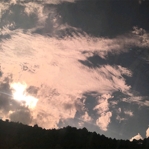 大 鸡 巴 奸 美 女
