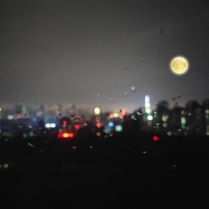 大 鸡 巴 奸 美 女
